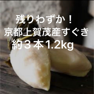 残りわずか！京都上賀茂産すぐき大サイズ約3本1.2kgご家庭用(漬物)