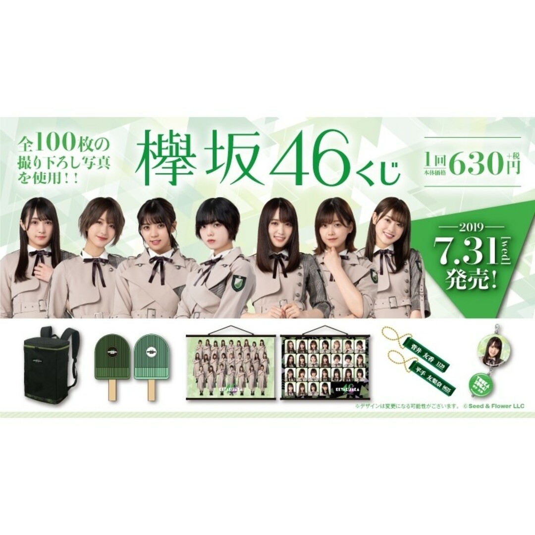 欅坂46(けやき坂46)(ケヤキザカフォーティーシックス)の平手友梨奈 キーホルダー チケットの音楽(女性アイドル)の商品写真