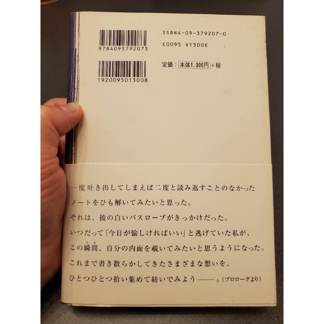 プラトニック・セックス エンタメ/ホビーの本(その他)の商品写真