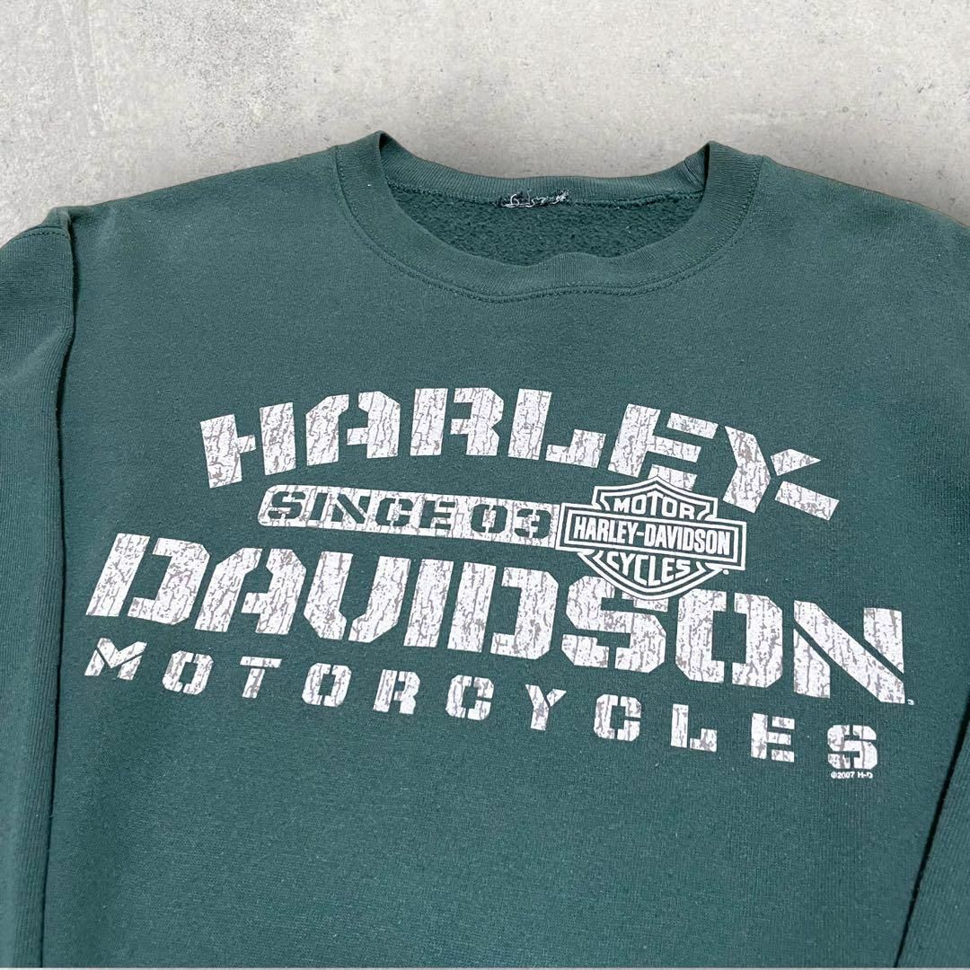 Harley Davidson(ハーレーダビッドソン)の美品 HARLEY DAVIDSON フロリダ ワニ スウェット グリーン 緑 メンズのトップス(スウェット)の商品写真