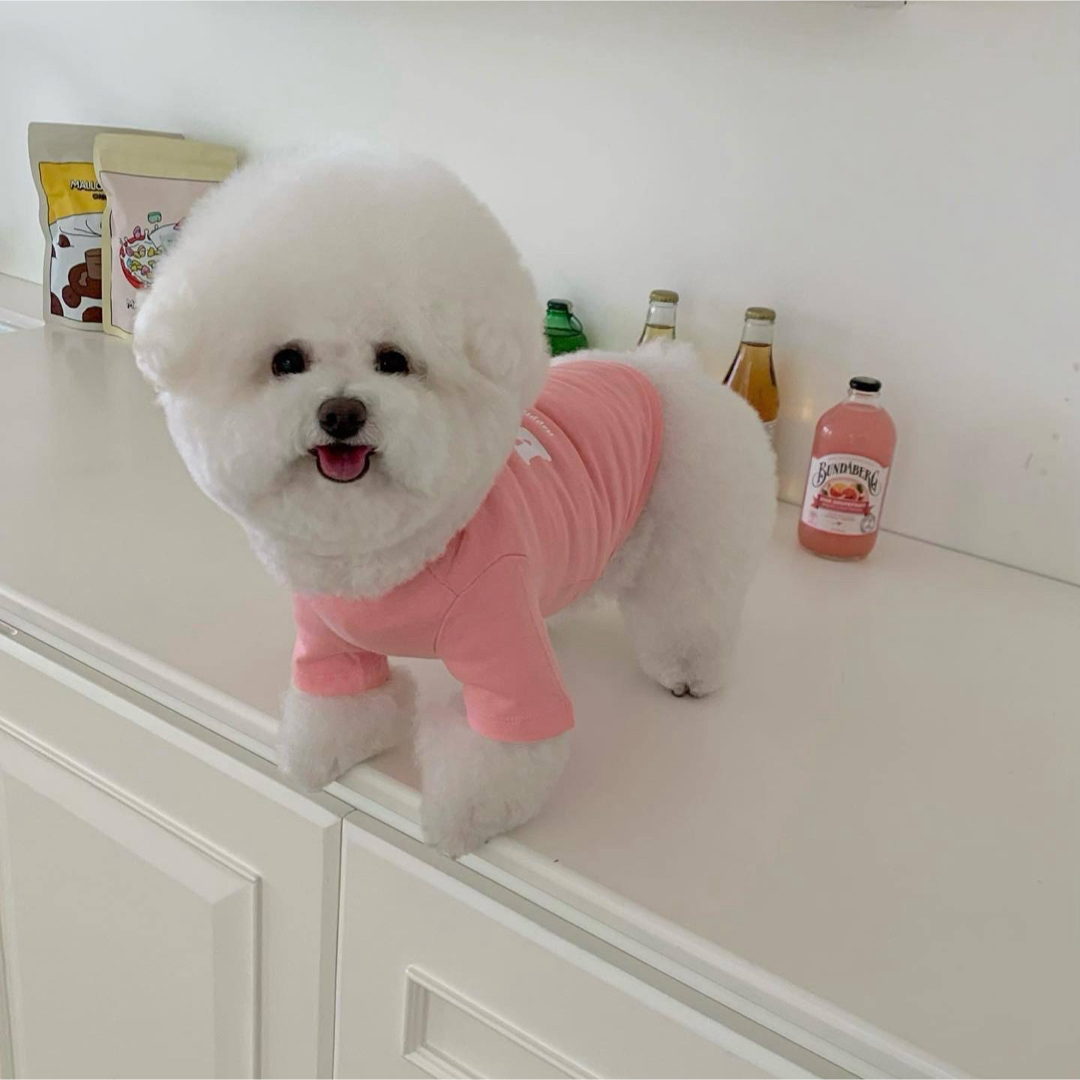 【新品】可愛い♡ロゴプリントトップス　犬服　ドッグウェア　S M L XL 韓国 その他のペット用品(犬)の商品写真