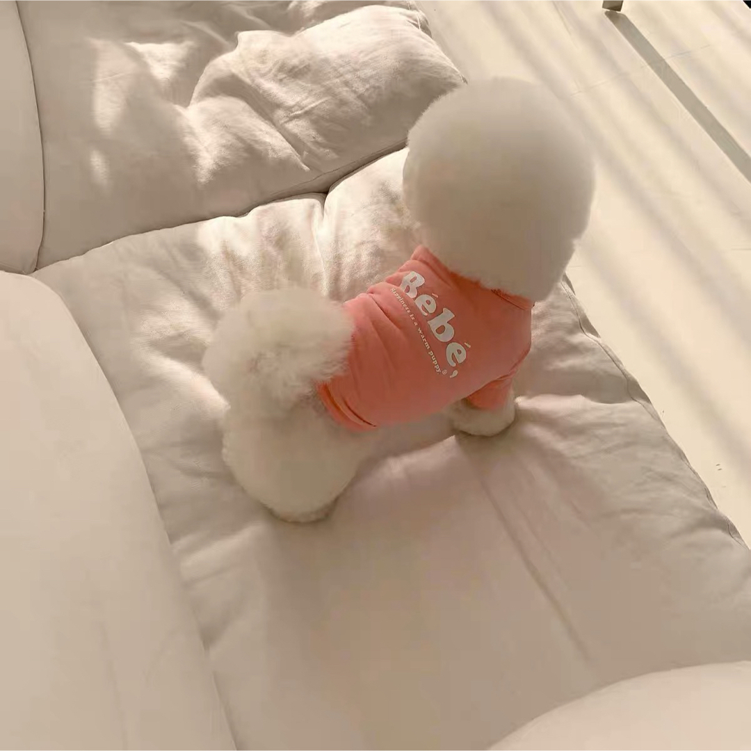 【新品】可愛い♡ロゴプリントトップス　犬服　ドッグウェア　S M L XL 韓国 その他のペット用品(犬)の商品写真