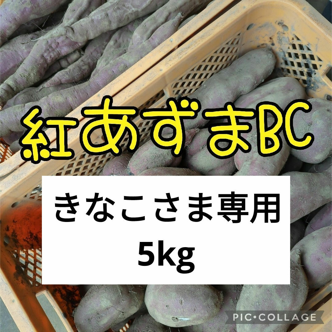 きなこさま専用　紅あずまBC5kg 食品/飲料/酒の食品(野菜)の商品写真