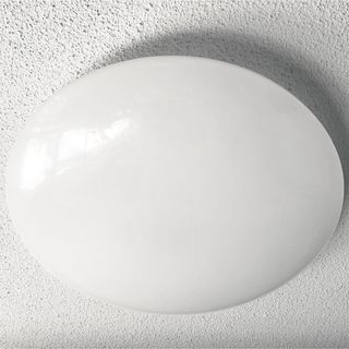 アイリスオーヤマ(アイリスオーヤマ)の音声操作　スマート　LED シーリングライト(天井照明)