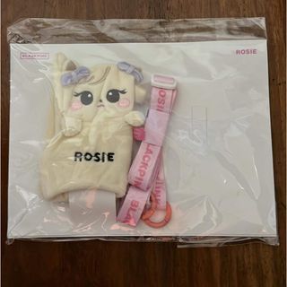 ブラックピンク(BLACKPINK)のBlackpink Born Pink ペンライトカバー　ロゼ　ROSIE(アイドルグッズ)