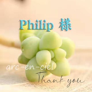 Philip 様　専用ページ 多肉種 セット(その他)