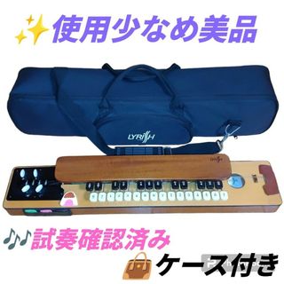 【美品/試奏確認済】ライリッシュ　大正琴　ライリッシュハープ　弦楽器　LPS50(大正琴)