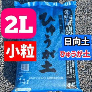 日向土 小粒 2L ひゅうが土　観葉植物 コーデックス 多肉植物 グラキリス(その他)