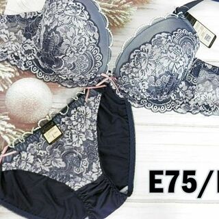 PS53 E75/L ブラ＆ショーツセット 紺 アーチ フラワー刺繍(ブラ&ショーツセット)