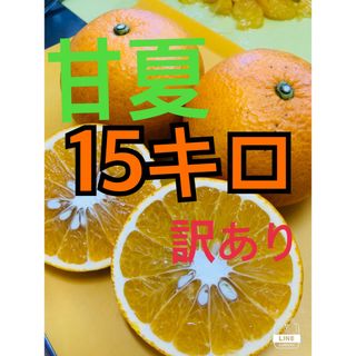 15キロ　甘夏みかん　訳あり　お得