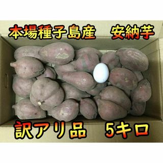 【完熟！】訳アリ品　安納芋紅（SMLサイズ混合）　5kg【本場種子島産】