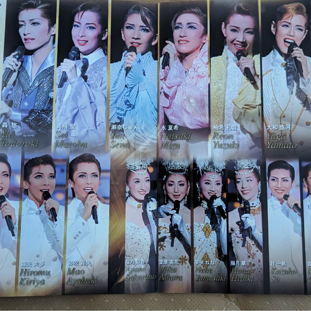 宝塚歌劇95周年記念 百年への道 エンタメ/ホビーのDVD/ブルーレイ(舞台/ミュージカル)の商品写真