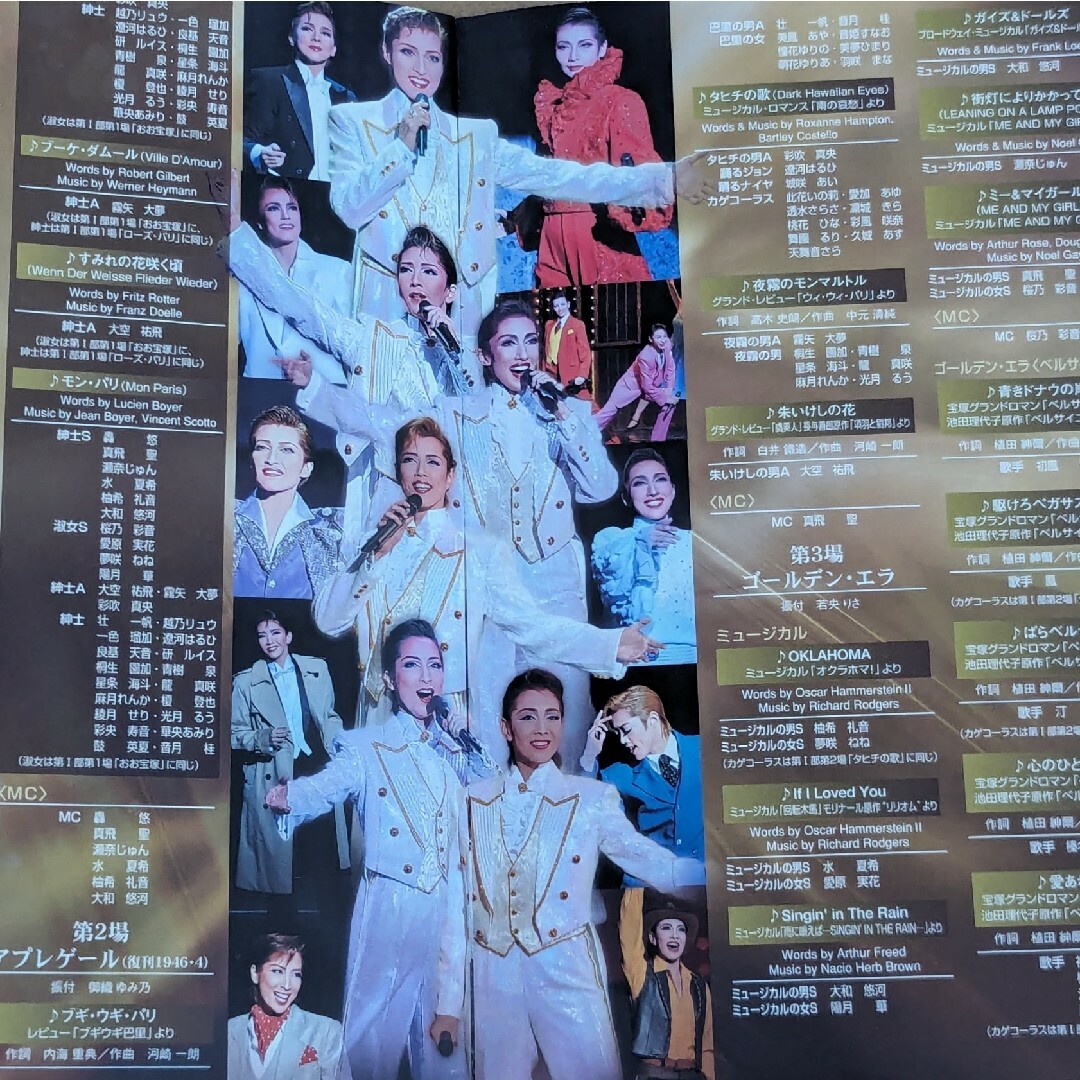 宝塚歌劇95周年記念 百年への道 エンタメ/ホビーのDVD/ブルーレイ(舞台/ミュージカル)の商品写真