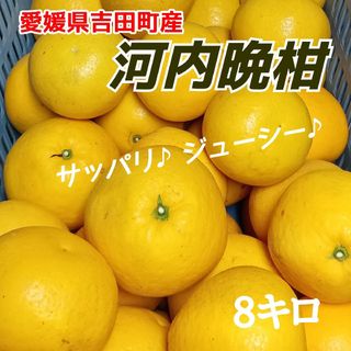 愛媛県産★農家直送★河内晩柑 8キロ(フルーツ)