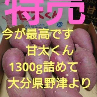 お早めに!　甘太くん 1300g詰めて　大分県野津より