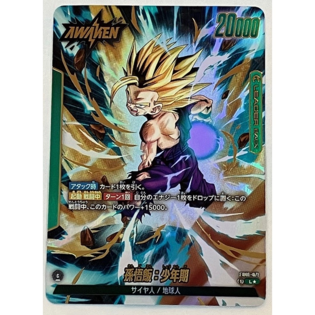 ドラゴンボール 覚醒の鼓動 孫悟飯