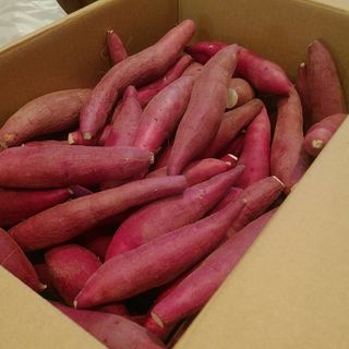 68 千葉県産　べにはるか　さつまいも　サツマイモ　約7.2㎏(野菜)