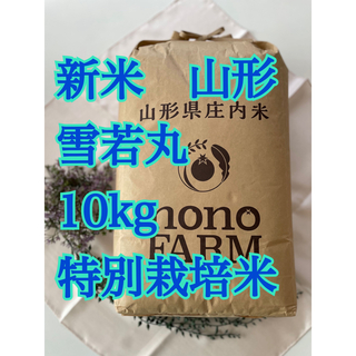 雪若丸　10kg 山形　令和5年 特別栽培米(米/穀物)