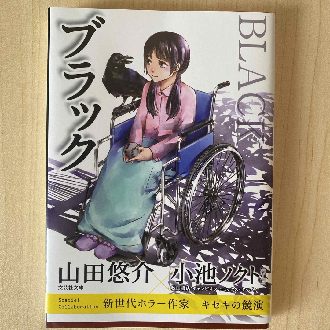 ブラック エンタメ/ホビーの本(文学/小説)の商品写真