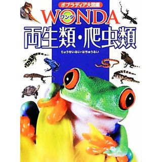 両生類・爬虫類 ポプラディア大図鑑ＷＯＮＤＡ／森哲，西川完途【監修】(絵本/児童書)