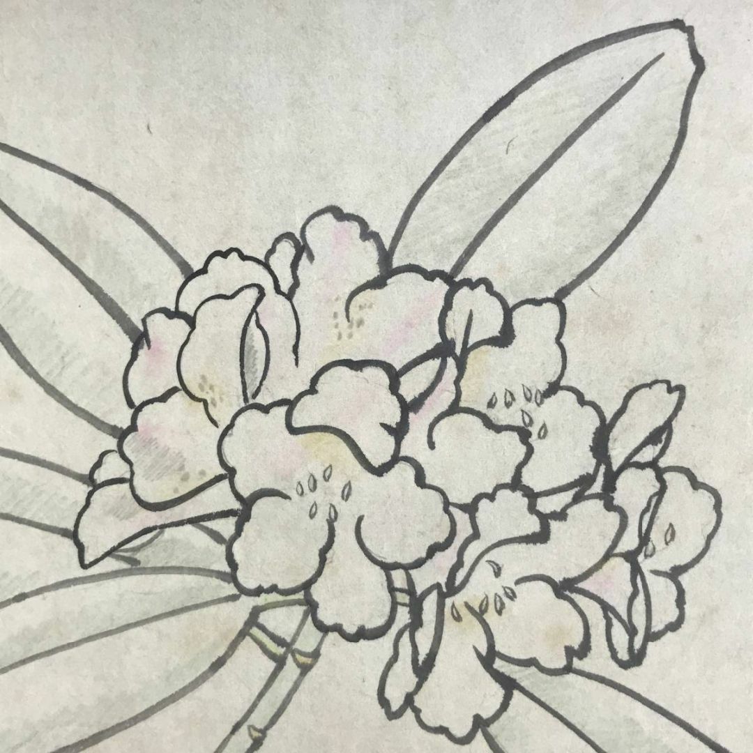 真作/佐藤太清/石楠花図/シャクナゲ図/花図/横物/掛軸☆宝船☆AD-297 真作/佐藤太清/石楠花図/シャクナゲ図/花図/横物/掛軸☆宝船☆AD-297