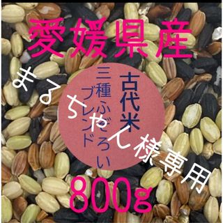 まるちゃん様専用 古代米3種ふぞろいブレンド　愛媛県産　800ｇ(米/穀物)