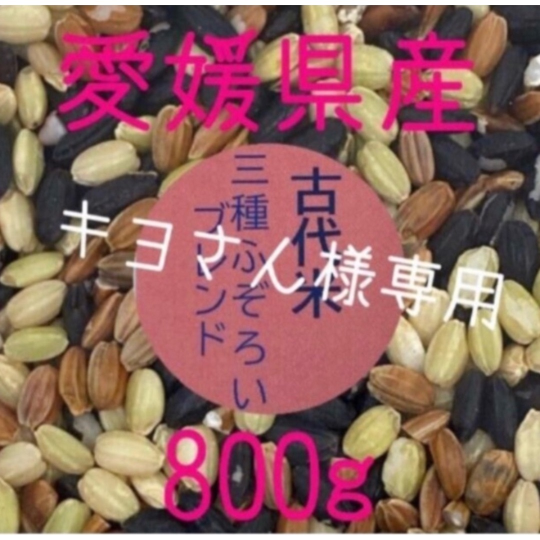 キヨさん  様専用　古代米3種ふぞろいブレンド　愛媛県産　800ｇ 食品/飲料/酒の食品(米/穀物)の商品写真