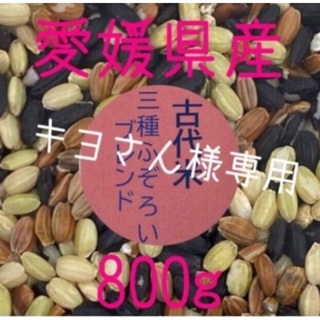 キヨさん  様専用　古代米3種ふぞろいブレンド　愛媛県産　800ｇ(米/穀物)