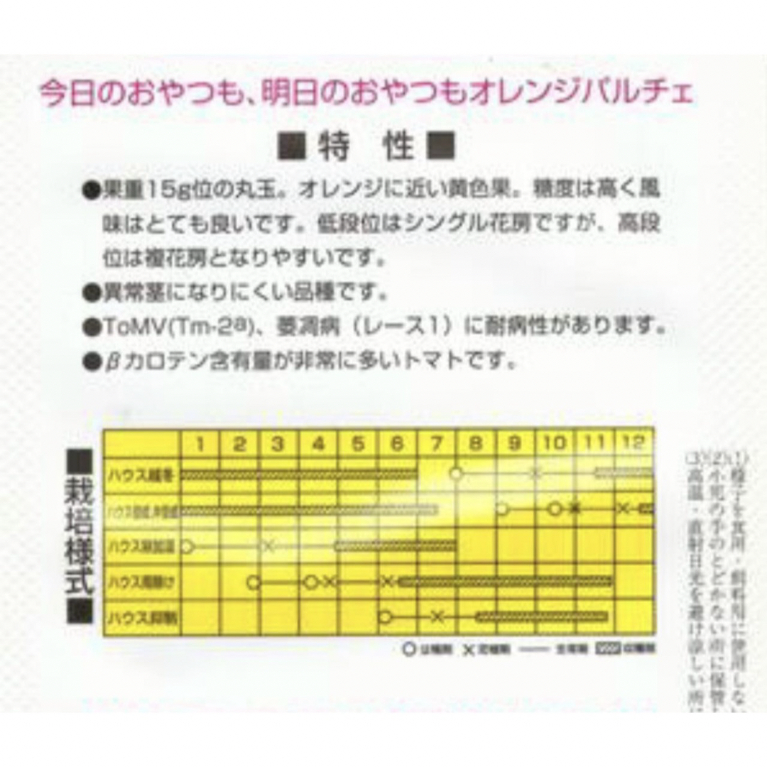 ハルヒナ様専用　オレンジパルチェ　ミニトマト　種　小分売り　30粒 食品/飲料/酒の食品(野菜)の商品写真