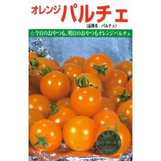 ハルヒナ様専用　オレンジパルチェ　ミニトマト　種　小分売り　30粒(野菜)