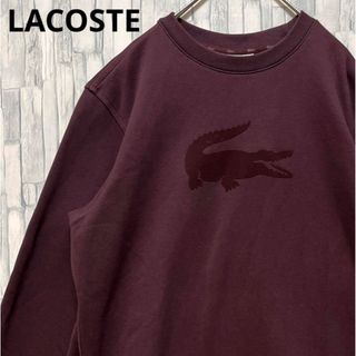 ラコステ(LACOSTE)のラコステ トレーナー スウェット サイズS ビッグロゴ 裏起毛 ブラウン(スウェット)