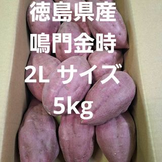 さつまいも　徳島県産鳴門金時2L サイズ5kg(野菜)