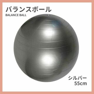 バランスボール シルバー 55cm ダイエット器具 フィットネス ヨガボール(エクササイズ用品)