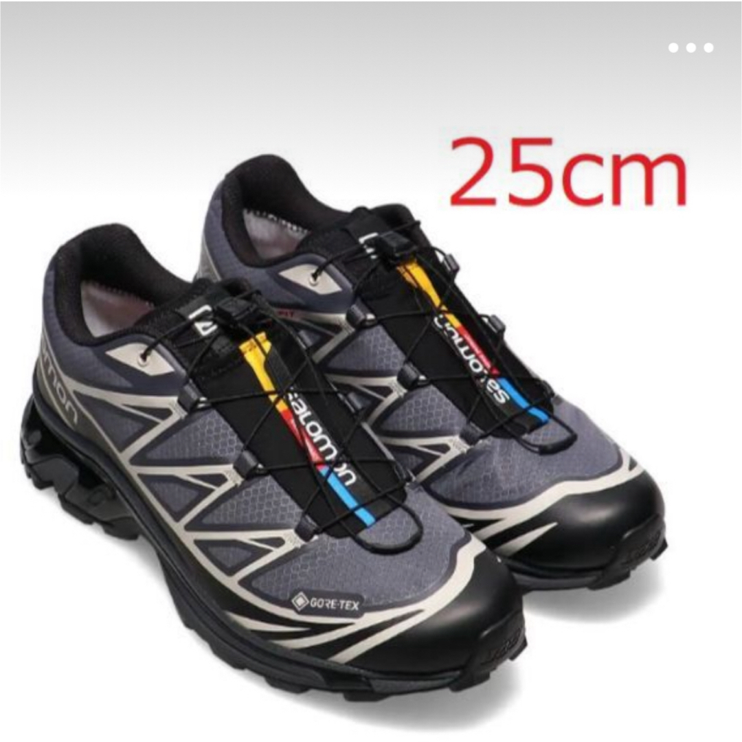 SALOMON(サロモン)の新品タグ付き　Salomon XT-6 25.0㎝ レディースの靴/シューズ(スニーカー)の商品写真