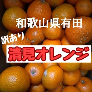 和歌山県有田 ジュ～シ〜清見オレンジ3kg(フルーツ)