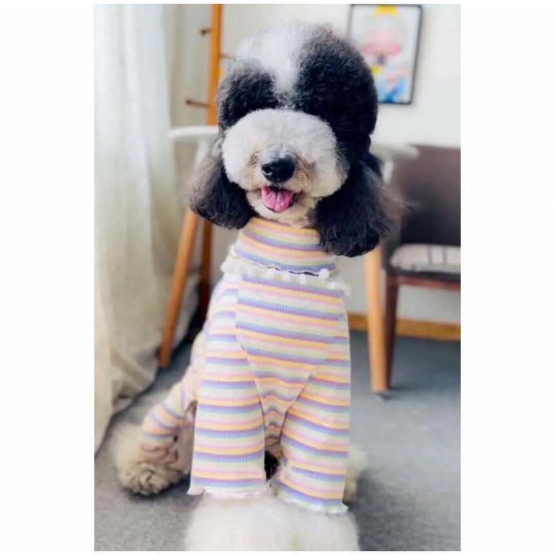 【ペット用】大型犬用　犬服　可愛い　マルチボーダー柄　つなぎボディスーツ　6XL その他のペット用品(犬)の商品写真