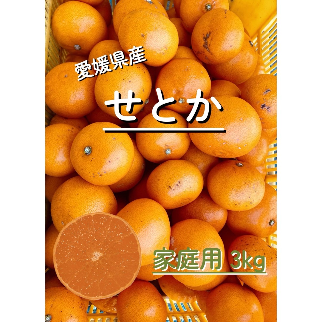 愛媛県産せとか 3kg 家庭用 食品/飲料/酒の食品(フルーツ)の商品写真