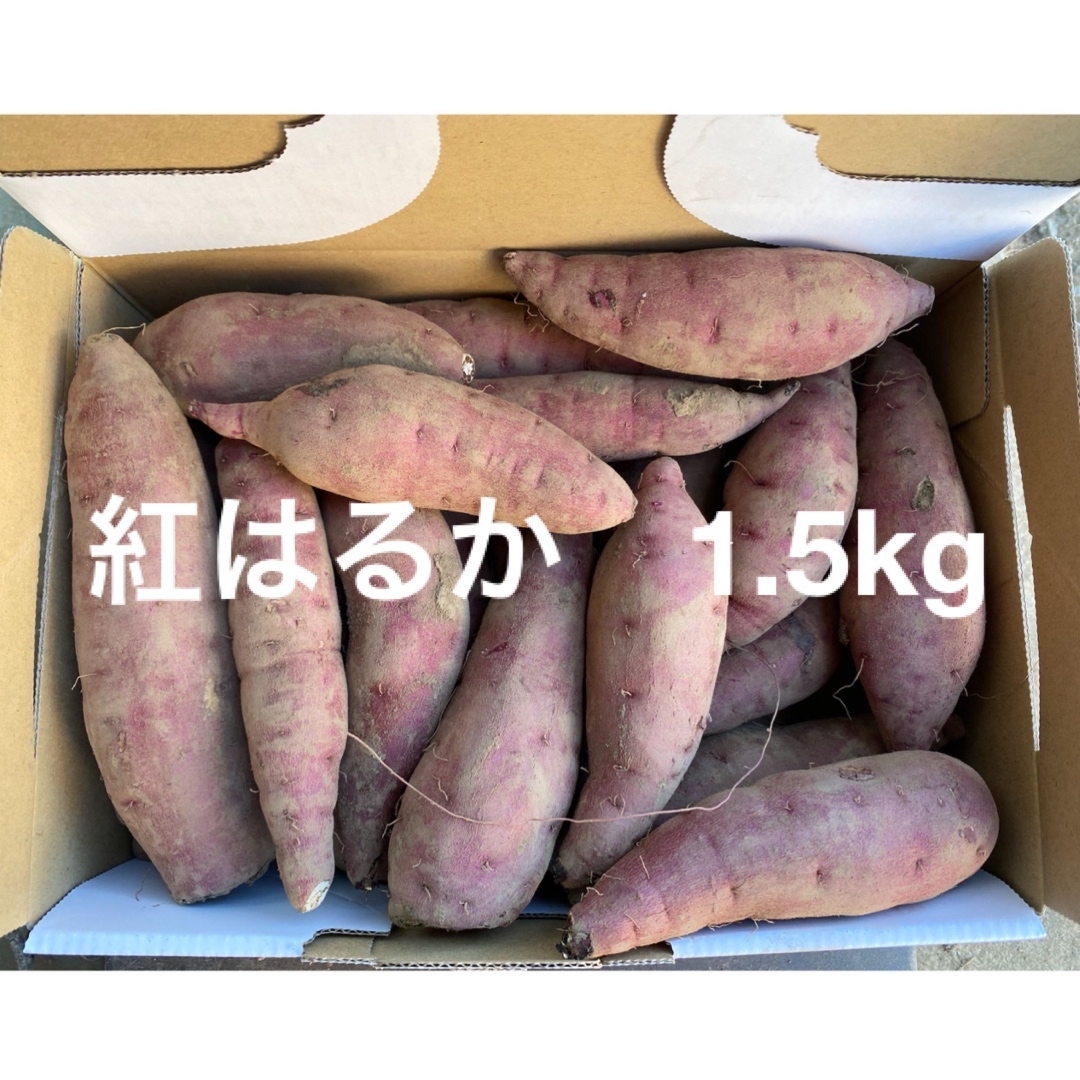 紅はるか　1.5kg さつまいも　小さいサイズ 食品/飲料/酒の食品(野菜)の商品写真