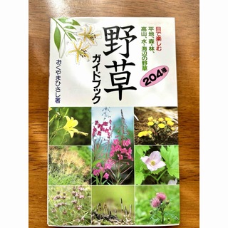 野草ガイドブック　204種(趣味/スポーツ/実用)