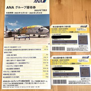 エーエヌエー(ゼンニッポンクウユ)(ANA(全日本空輸))のANA株主優待券2枚　グループ優待券冊子(航空券)