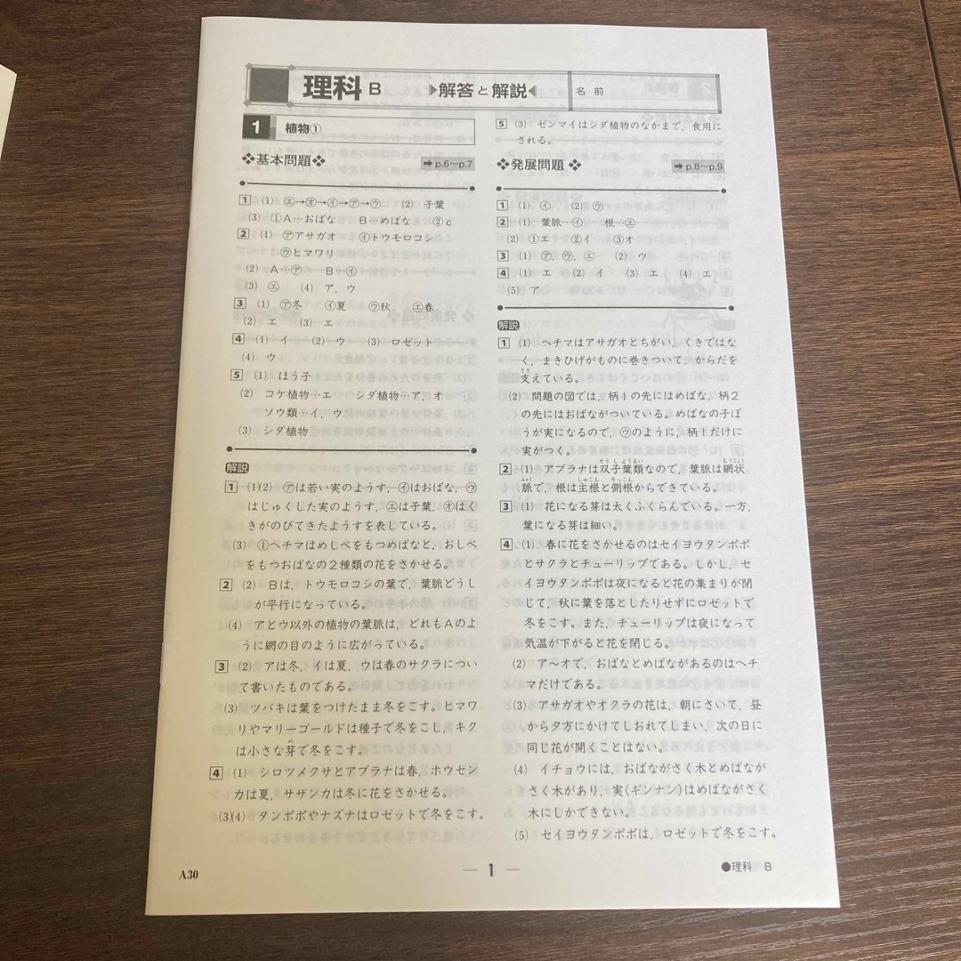 小学実力錬成　エフォート　理解B エンタメ/ホビーの本(語学/参考書)の商品写真