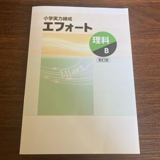 小学実力錬成　エフォート　理解B(語学/参考書)