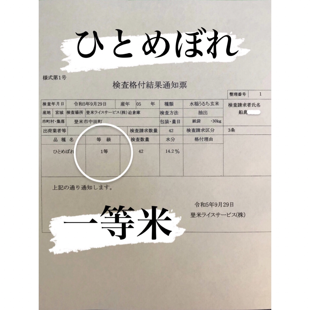 白米　精米　5キロ　令和5年産　ひとめぼれ　一等米　ひとめぼれ 食品/飲料/酒の食品(米/穀物)の商品写真