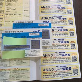 エーエヌエー(ゼンニッポンクウユ)(ANA(全日本空輸))のANA株主優待券2枚　と　グループ優待券　1冊(その他)