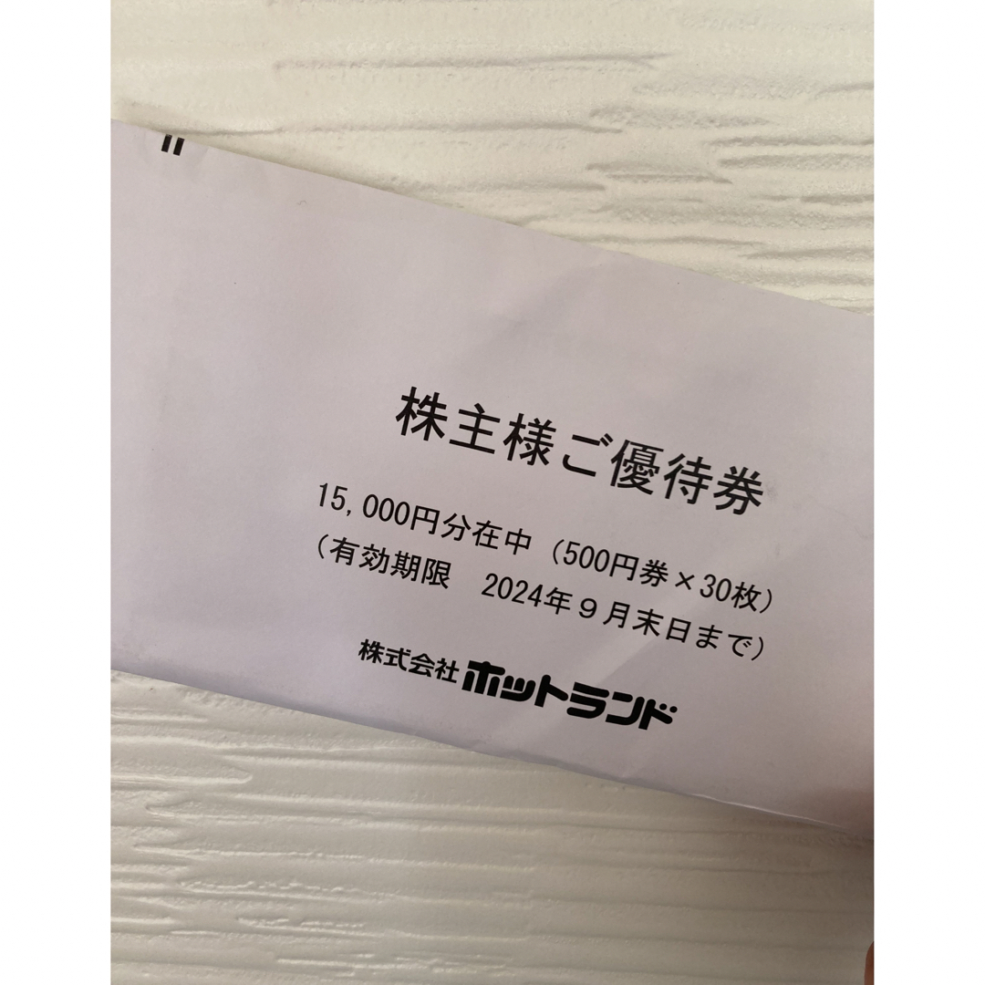 ホットランド 株主優待券　即日発送 チケットの優待券/割引券(フード/ドリンク券)の商品写真