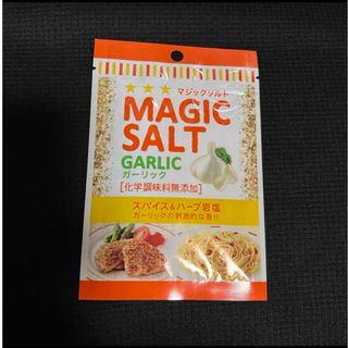 エルビーショクヒン(エスビー食品)のエスビー食品●マジックソルト ガーリック★20g★301円送料込みクーポン消費(調味料)