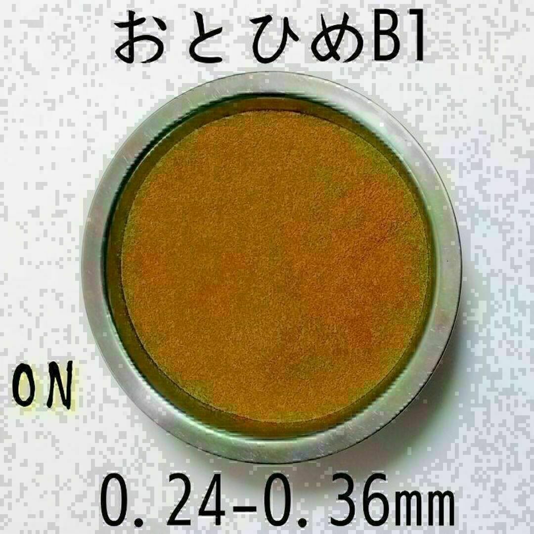 高栄養飼料 メダカ餌 おとひめB1 2kg アクアリウム 熱帯魚 グッピー その他のペット用品(アクアリウム)の商品写真