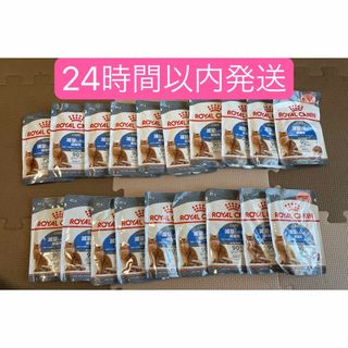 ロイヤルカナン(ROYAL CANIN)のロイヤルカナン　減量したい成猫用85g×19個(ペットフード)