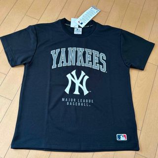 メジャーリーグベースボール(MLB)のニューヨークヤンキース  メジャーリーグ Tシャツ 160(Tシャツ/カットソー)