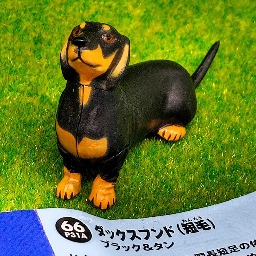 海洋堂 - チョコQ アニマルテイルズ ペット動物シリーズ3 海洋堂 - チョコQ アニマルテイルズ ペット動物シリーズ3